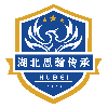 湖北思翰传承足球队
