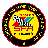 四川甲A明星队
